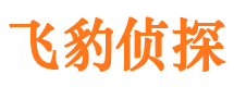 衡南外遇出轨调查取证